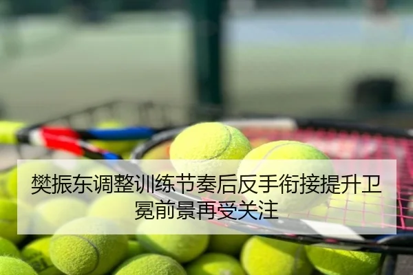 樊振东调整训练节奏后反手衔接提升卫冕前景再受关注